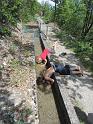 20120519_Nax_Bisse_Sillonin 002